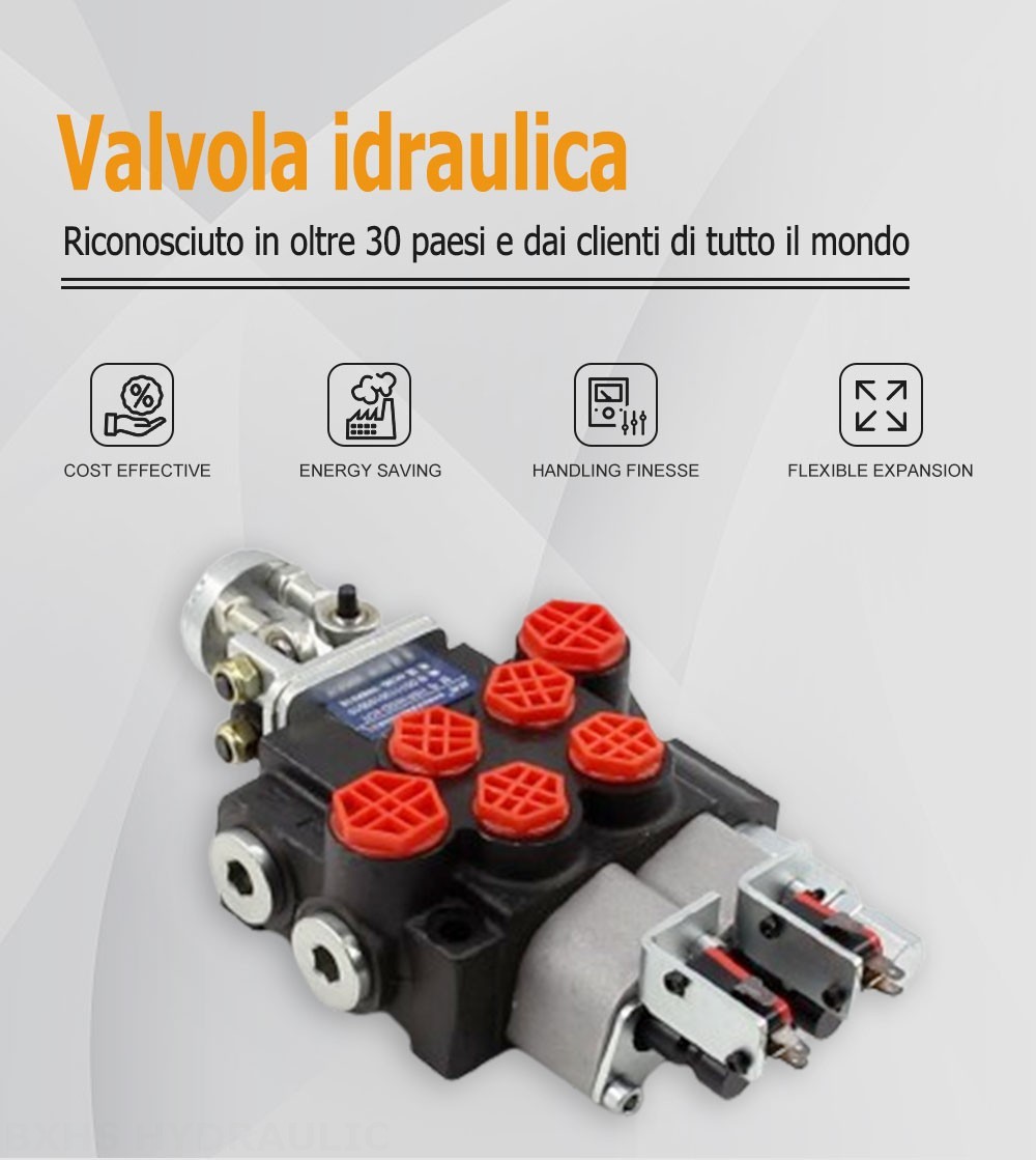 P40 Micro Switch Joystick 2 Spool Valvola direzionale monoblocco